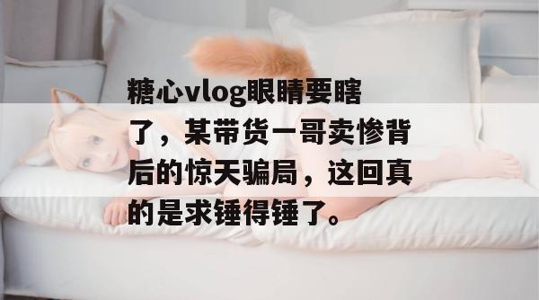 糖心vlog眼睛要瞎了，某带货一哥卖惨背后的惊天骗局，这回真的是求锤得锤了。